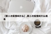 【第二次疫情叫什么】,第二次疫情叫什么病毒