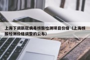 上海下调新冠病毒核酸检测项目价格（上海核酸检测价格调整的公布）