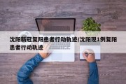 沈阳新冠复阳患者行动轨迹/沈阳现1例复阳患者行动轨迹