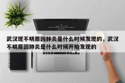 武汉现不明原因肺炎是什么时候发现的，武汉不明原因肺炎是什么时候开始发现的