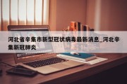河北省辛集市新型冠状病毒最新消息_河北辛集新冠肺炎