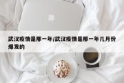 武汉疫情是那一年/武汉疫情是那一年几月份爆发的