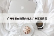广州哪里有摘菜的地方/广州菜园摘菜