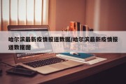 哈尔滨最新疫情报道数据/哈尔滨最新疫情报道数据图