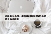 湖南28日新增，湖南省29日新增2例新冠肺炎确诊病例