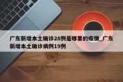 广东新增本土确诊28例是哪里的疫情_广东新增本土确诊病例19例