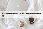 山东临沂新冠病例，山东临沂新冠病例最新情况