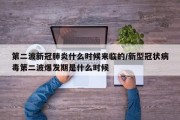 第二波新冠肺炎什么时候来临的/新型冠状病毒第二波爆发期是什么时候