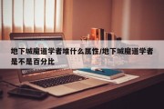 地下城魔道学者堆什么属性/地下城魔道学者是不是百分比
