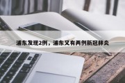 浦东发现2例，浦东又有两例新冠肺炎